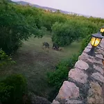 Dorono House Balatonudvari
