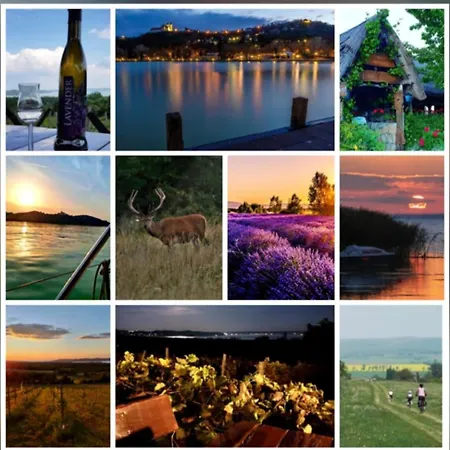 Dorono House ヴィラ